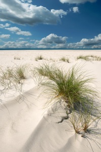 Bild-Nr: 10727699 Nordsee - Insel Amrum Erstellt von: Reiner Würz