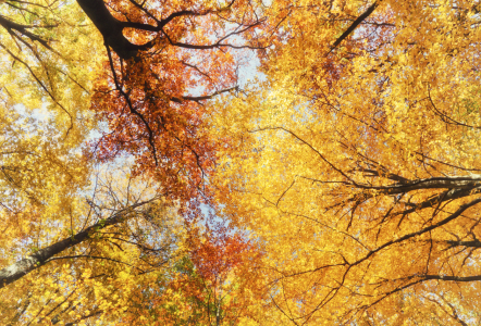 Bild-Nr: 10728091 Oktoberhimmel Erstellt von: Daniela Beyer