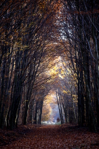 Bild-Nr: 10730843 Tunnelblick Erstellt von: Renate Knapp