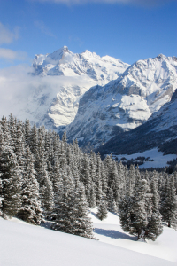 Bild-Nr: 10734195 Winterlandschaft Erstellt von: Bettina Schnittert