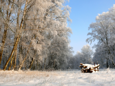 Bild-Nr: 10740893 Brennholz im Winter.. Erstellt von: Ostfriese