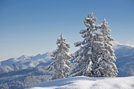 Bild-Nr: 10741871 Winterlandschaft Erstellt von: EderHans