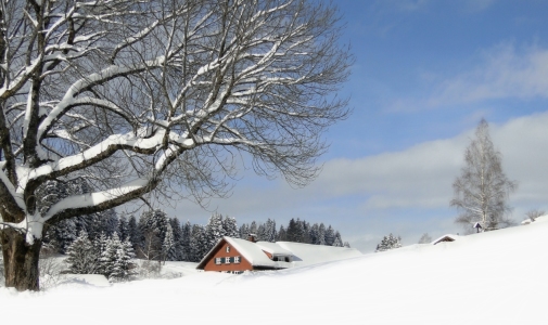 Bild-Nr: 10749801 Schneeparadies Erstellt von: Renate Knapp