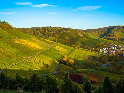 Bild-Nr: 10757393 Stuttgarts Weinberge Erstellt von: Johann Oswald