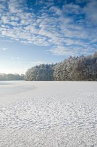 Bild-Nr: 10768727 Winterlandschaft  Erstellt von: Marcel Krüger