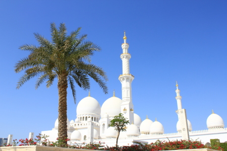 Bild-Nr: 10773887 Moschee in Abu Dhabi Erstellt von: Kastor