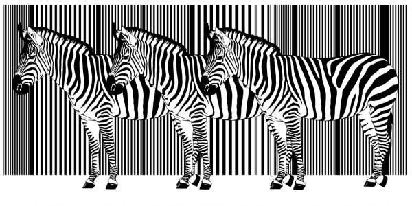 Bild-Nr: 10775277 Zebra Barcode Dreier  Erstellt von: Mausopardia