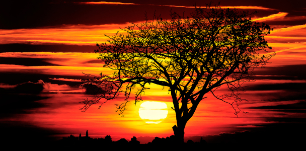 Bild-Nr: 10780509 african sunset Erstellt von: Jake-Playmo