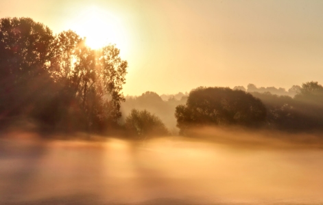 Bild-Nr: 10782109 Morgennebel Erstellt von: falconer59