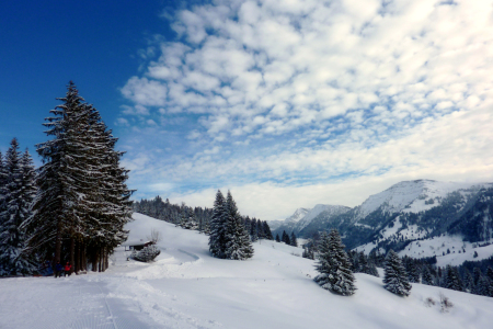 Bild-Nr: 10783325 Winterfreuden in den Bergen Erstellt von: Renate Knapp