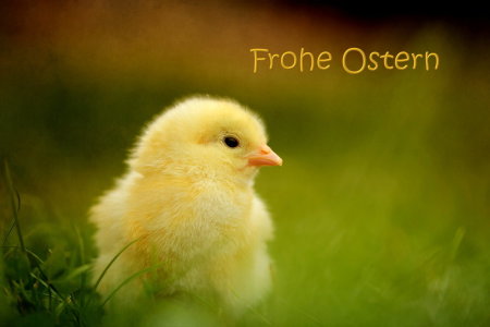 Bild-Nr: 10783677 Frohe Ostern Erstellt von: Heike  Hultsch