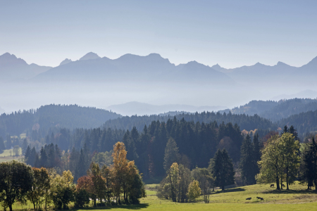 Bild-Nr: 10786917 Allgäulandschaft Erstellt von: EderHans