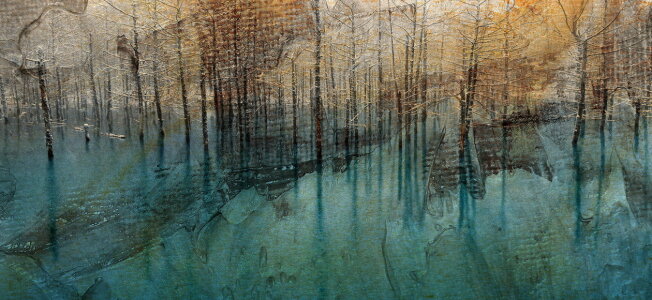 Bild-Nr: 10788841 Der blaue Wald Erstellt von: Heike Hultsch