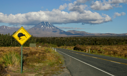 Bild-Nr: 10796369 Kiwi Crossing Erstellt von: Weltenbummel