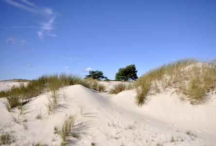 Bild-Nr: 10799479 Dünenlandschaft Erstellt von: GUGIGEI