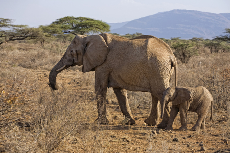 Bild-Nr: 10809847 Mama na Mtoto Erstellt von: Thomas Herzog