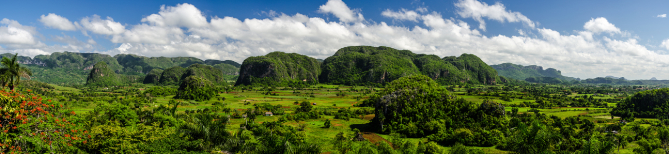 Bild-Nr: 10811653 Vinales Tal - Cuba  Erstellt von: Jean Claude Castor