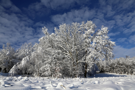 Bild-Nr: 10825707 Winterlandschaft Erstellt von: Marcel Schauer