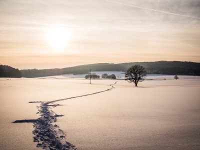 Bild-Nr: 10837327 Schneepfad Erstellt von: Johann Oswald