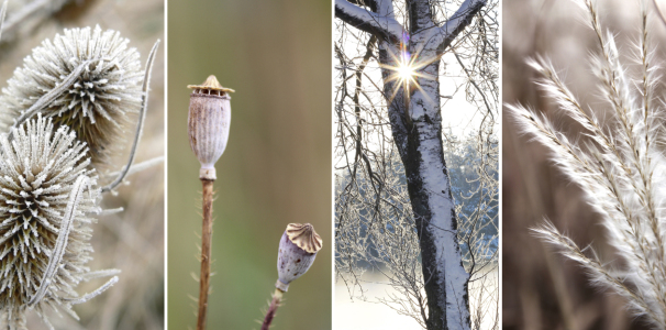 Bild-Nr: 10843733 Winterimpressionen 2 Erstellt von: SusaZoom
