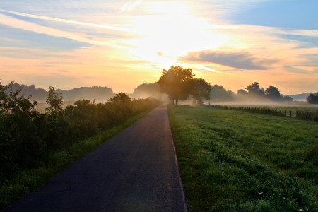 Bild-Nr: 10847289 Morgenspaziergang Erstellt von: falconer59