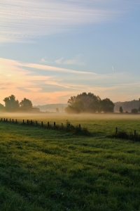 Bild-Nr: 10847361 Morgenspaziergang 2 Erstellt von: falconer59