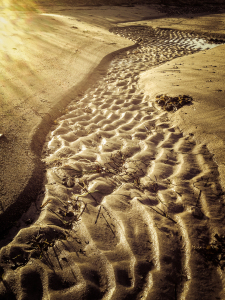 Bild-Nr: 10855115 Spuren im Sand Erstellt von: webnaturfoto