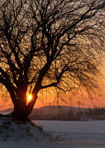 Bild-Nr: 10858758 Sonnenuntergang Erstellt von: Kay Hecker