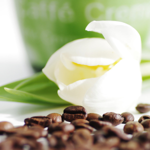 Bild-Nr: 10861810 Frühling und Kaffee Genuss Erstellt von: Tanja Riedel