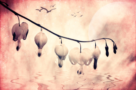 Bild-Nr: 10862018 Dream of Spring Erstellt von: Angela  Dölling