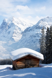 Bild-Nr: 10862590 Hütte vor Wetterhorn Erstellt von: Bettina Schnittert