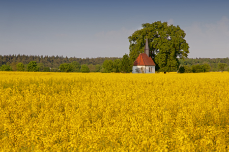 Bild-Nr: 10867480 Heimat Erstellt von: Thomas Herzog