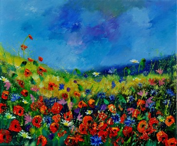 Bild-Nr: 10870346 Mohnblumen 561190 Erstellt von: Pol Ledent