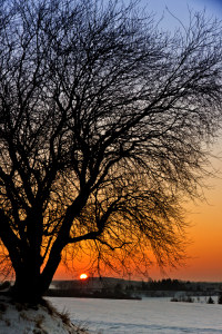 Bild-Nr: 10870516 Sonnenuntergang Erstellt von: Kay Hecker