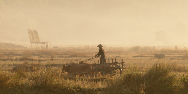 Bild-Nr: 10875158 Golden Ride Erstellt von: marasmus