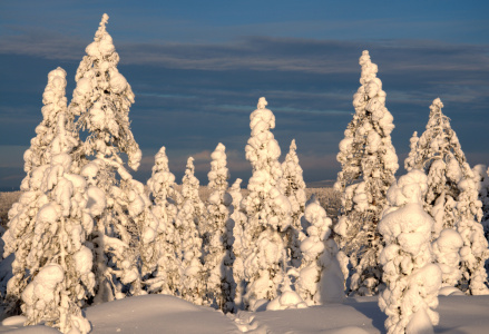 Bild-Nr: 10879606 .. angestrahlt .. Erstellt von: VOLKER60