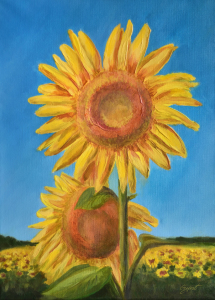 Bild-Nr: 10881284 Sonnenblumen - Sunflowers Erstellt von: Gint Skuburs