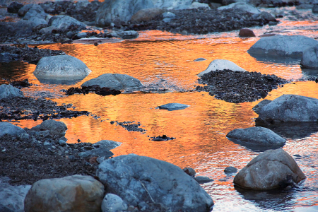Bild-Nr: 10886962 Abends am Fluss Erstellt von: SusaZoom