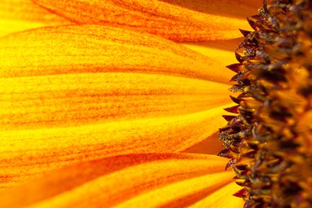 Bild-Nr: 10894404 Der Sonne ganz nah. Erstellt von: FotoPUR