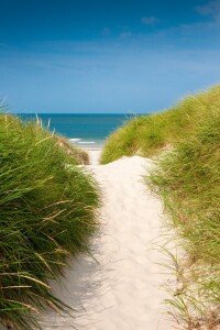 Bild-Nr: 10902256 Nordsee - Strandaufgang Erstellt von: Reiner Würz