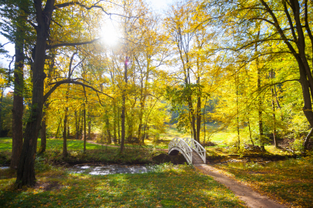 Bild-Nr: 10902368 Goldene Brücke Erstellt von: FotoPUR