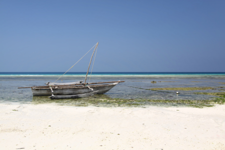 Bild-Nr: 10915107 Sansibar Beach Erstellt von: FotoDeHRO