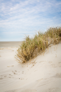 Bild-Nr: 10915127 Düne St. Peter Ording Erstellt von: goekce-narttek