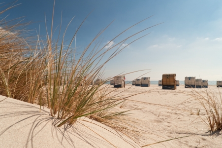 Bild-Nr: 10919183 Durchblick zum Meer Erstellt von: Nordbilder