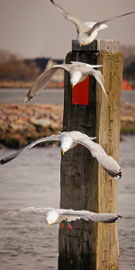 Bild-Nr: 10920285 Abflug Erstellt von: FotoDeHRO