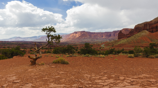 Bild-Nr: 10920783 RED EARTH Erstellt von: DenisFeiner