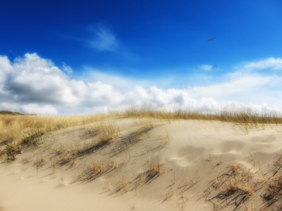 Bild-Nr: 10922597 Dünenlandschaft Erstellt von: jaro