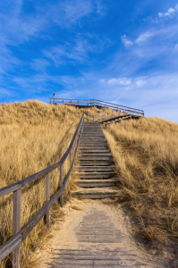 Bild-Nr: 10924527 Aussichtsdüne Insel Amrum Erstellt von: Angela  Dölling