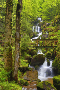 Bild-Nr: 10931423 Das Lied des Wasserfalls Erstellt von: Thomas Herzog