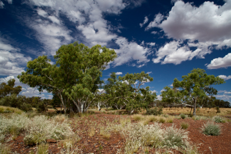Bild-Nr: 10932275 Outback Erstellt von: ollyw